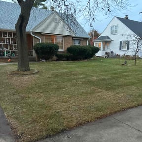 Leaf Removal by Lawn care Debris and Tree reviewed on August 10, 2024