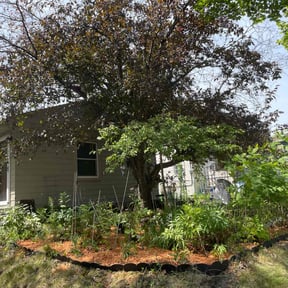 Mulching by Reliable Cuts Lawn service LLC reviewed on May 10, 2022