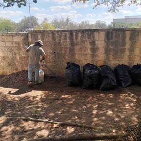 Leaf Removal by Jackson Lawn Care reviewed on March 4, 2025