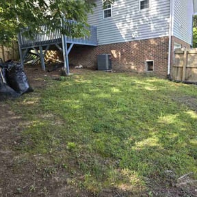 Leaf Removal by Clean Cut reviewed on June 10, 2021