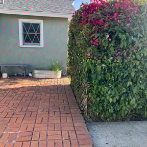 Bush Trimming by Rucker’s Lawn Care reviewed on July 28, 2022