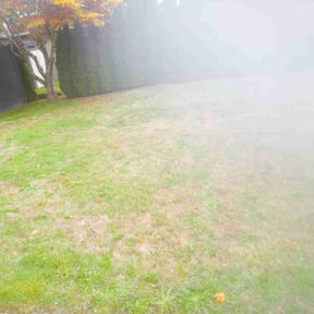 Landscaping by J.G.SupremeLandscaping LLC. reviewed on June 9, 2022