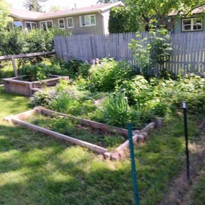Flower Bed Weeding by A job well done reviewed on June 16, 2022