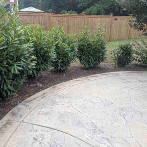 Flower Bed Weeding by Anton Lawn Care reviewed on August 6, 2024