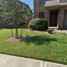 Cleanups by Blue Lagoon Lawn Service reviewed on June 22, 2025