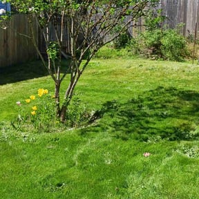 Cleanups by A-Z Land Care reviewed on July 30, 2025