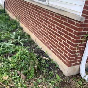 Bush Trimming by Pro Kutz reviewed on June 20, 2022