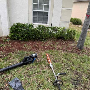 Bush Trimming by WDG reviewed on April 11, 2022