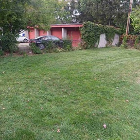 Cleanups by Lawns Plus Landscaping reviewed on July 7, 2022