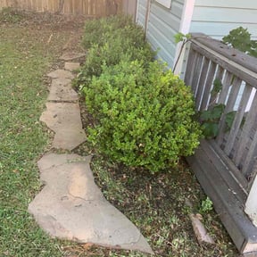 Bush Trimming by F&M LAWNCARE reviewed on June 14, 2022
