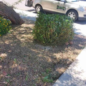 Bush Trimming by Jayes Lawn Adventures reviewed on March 12, 2023