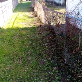 Cleanups by CM Lawn Care LLC reviewed on December 21, 2024