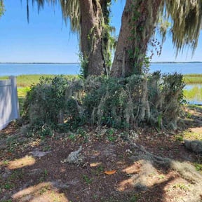 Bush Trimming by Residential maintenance reviewed on May 27, 2022