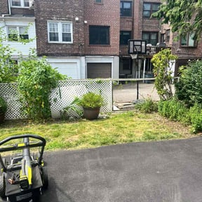 Bush Trimming by Real care property maintenance reviewed on June 23, 2022