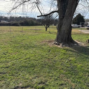 Leaf Removal by Lando Lawn Care & Landscaping reviewed on October 26, 2022