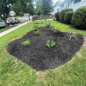 Weeding by Lawn services JAV reviewed on September 6, 2024