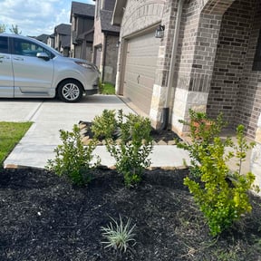 Bush Trimming by Schuler Lawn Care LLC reviewed on November 29, 2023