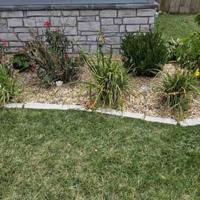 Flower Bed Weeding by TruGreen LawnCare reviewed on April 28, 2025