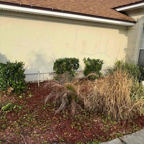 Bush Trimming by Elite Professional Services LLC reviewed on July 1, 2022