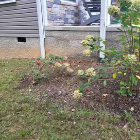 Flower Bed Weeding by Integrity Lawn Care reviewed on July 27, 2022