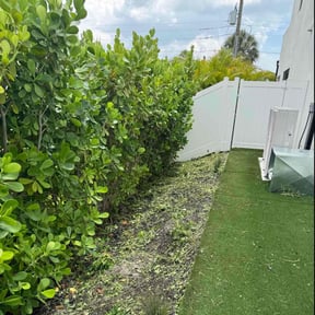 Weeding by Carol &amp; Sammy Lawn care reviewed on July 9, 2022