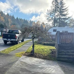 Leaf Removal by John Taylor reviewed on June 5, 2022