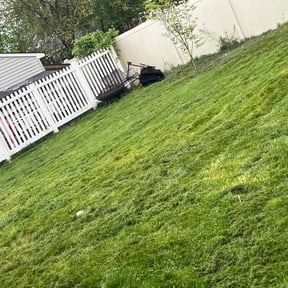 Landscaping by National preservation and REO services reviewed on May 11, 2022
