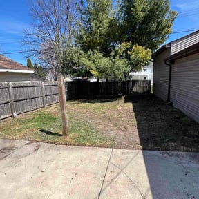 Leaf Removal by John Taylor reviewed on June 7, 2022