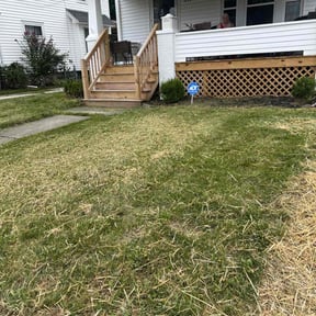 Bush Trimming by amazing r&r landscaping reviewed on June 23, 2022