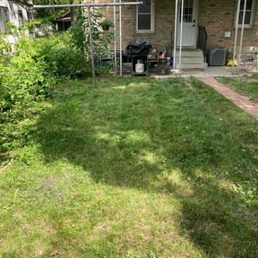 Cleanups by Unlimited Lawn & Maintenance Services reviewed on July 14, 2022