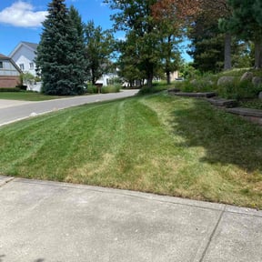Leaf Removal by Randy's lawnmower reviewed on June 1, 2022