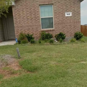 Bush Trimming by Excelastan L.L.C. reviewed on May 23, 2025