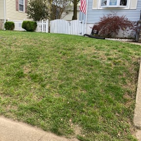 Leaf Removal by SleepyCutz Landscaping reviewed on October 21, 2024