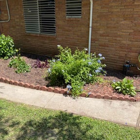 Flower Bed Weeding by All Scapes Property Maintenance reviewed on March 25, 2025