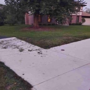 Cleanups by Vazquez Lawncare reviewed on November 27, 2024