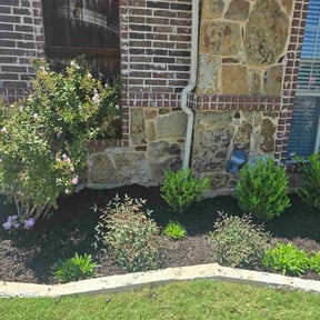 Weeding by Perfectionist Landscape reviewed on June 13, 2025