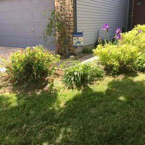 Flower Bed Weeding by Gerald Helmke reviewed on May 20, 2022