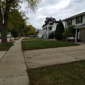 Leaf Removal by Terry Ziolkowski reviewed on April 15, 2022