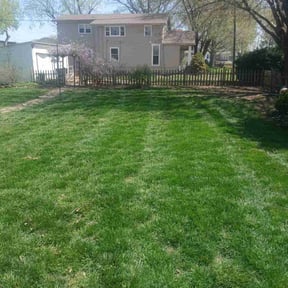 Cleanups by God's Gift Lawncare, LLC reviewed on August 1, 2022
