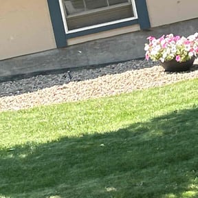 Flower Bed Weeding by 804 Lawn Pros LLC reviewed on April 26, 2019