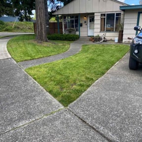 Bush Trimming by KJ&#039;s Yardworks reviewed on June 16, 2025