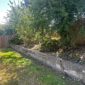 Bush Trimming by Game Time Landscaping LLC reviewed on December 10, 2024