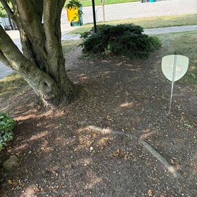 Flower Bed Weeding by Tamula Chery"s Landscaping reviewed on July 19, 2022