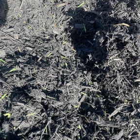 Flower Bed Weeding by Shady Acres reviewed on May 8, 2022