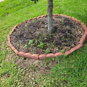 Flower Bed Weeding by Wacky grass lawn care reviewed on July 11, 2022