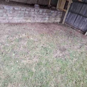 Cleanups by Zink Services reviewed on July 29, 2020