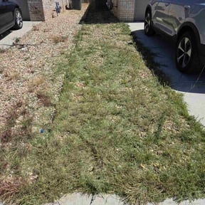 Weeding by Green Earth Lawn and snow LLC reviewed on July 27, 2022