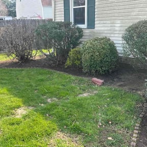 Flower Bed Weeding by Greener Lawn Care LLC. reviewed on April 13, 2025