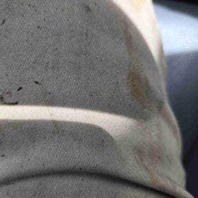 Bush Trimming by Hampton&#039;s Landscaping LLC reviewed on May 4, 2025