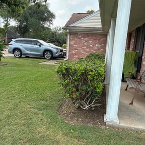 Bush Trimming by Precision Landscaping & more reviewed on July 13, 2022